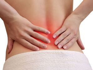 The cause of back pain in the lower back